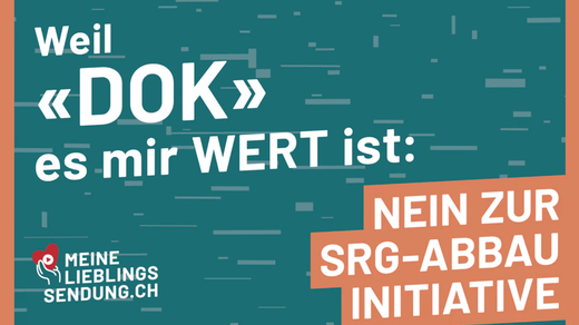 Bild von 100 Fahnen «Meine Lieblingssendung» - VERLOSUNG