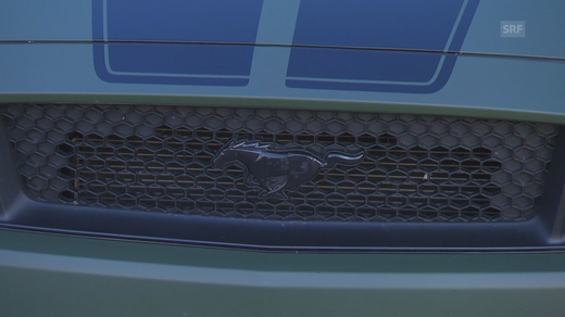 Bild von Die «Rundschau» berichtete ausgewogen