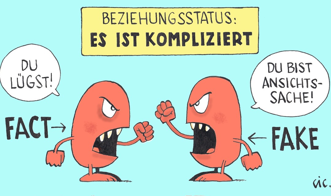 Illustration mit Fact und Fake als wütende Comics gezeichnet