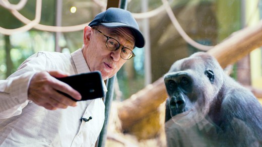 Bild von «Kulturplatz extra» mit Prominenten an menschenleeren Ausstellungen