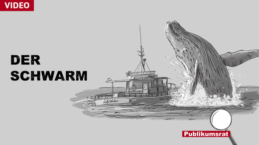 Bild von Im Fokus des Publikumsrats: Der Schwarm