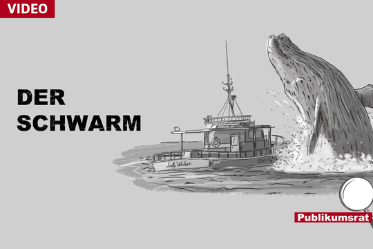 Bild von Im Fokus des Publikumsrats: Der Schwarm