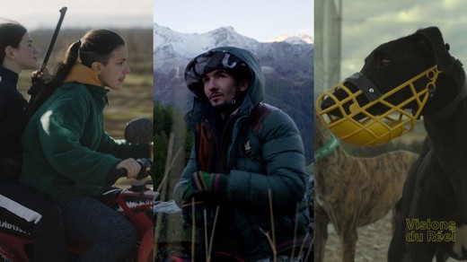 Bild von Zahlreiche SRG-Koproduktionen am Filmfestival Visions du Réel