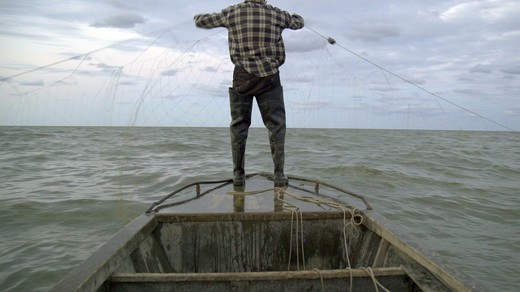 Bild von Auszeichnung für SRF-Koproduktion «Ostrov – Lost Island» und ZDF/3sat-Koproduktion «Der Ast, auf dem ich sitze»