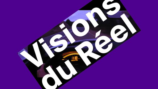 Bild von Erneute Unterstützung für das Filmfestival «Visions du Réel»