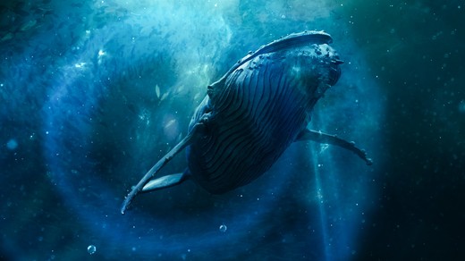 Bild von «Der Schwarm»: Begleitprogramm zur Thriller-Serie bei SRF