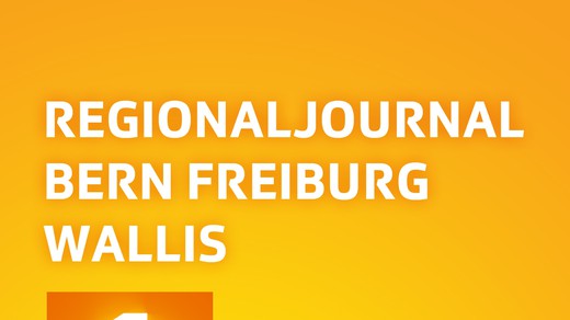 Bild von Wirtschaftsberichterstattung im Regionaljournal BE FR VS