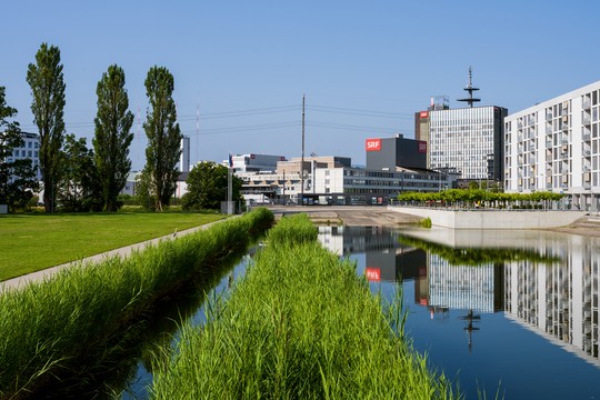 Bild von SRF mit positiver Nutzungsbilanz im ersten Halbjahr 2023