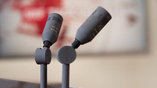 Bild von Bundesrat für Sparten-Radios und gegen Open Content