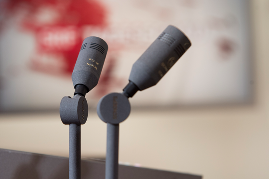 Bild von Bundesrat für Sparten-Radios und gegen Open Content