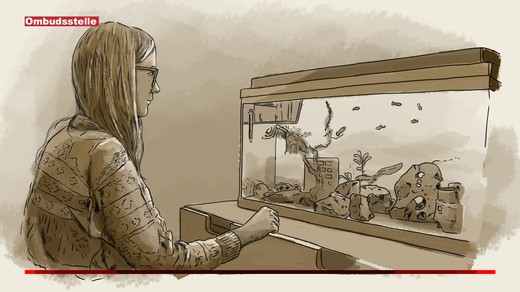 Bild von Ist «Reporter» über Autismus zu weit gegangen?