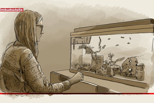 Bild von Ist «Reporter» über Autismus zu weit gegangen?