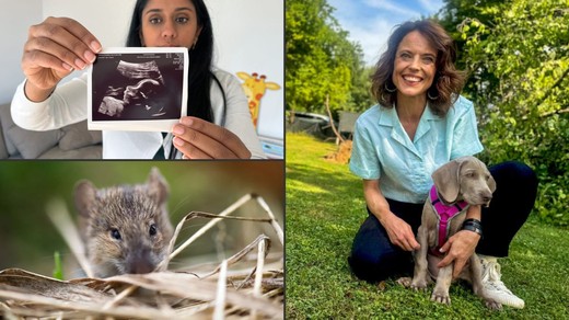 Bild von SRG‑Programmtipps der Woche: Mensch und Tier im Fokus