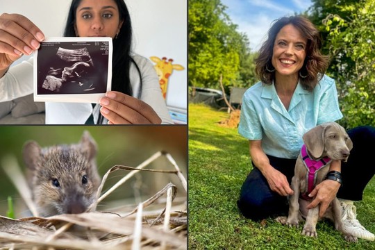 Bild von SRG‑Programmtipps der Woche: Mensch und Tier im Fokus