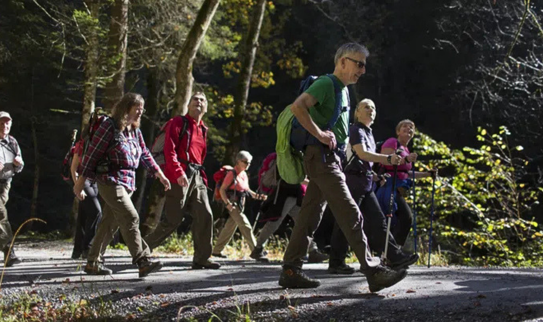 Bild von Sind Sie auch fit für die Demokratie?