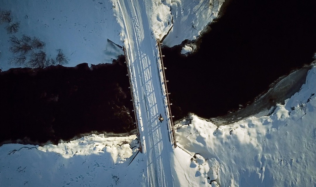 Bild von Auf der grossen Leinwand: «Paths of Life»