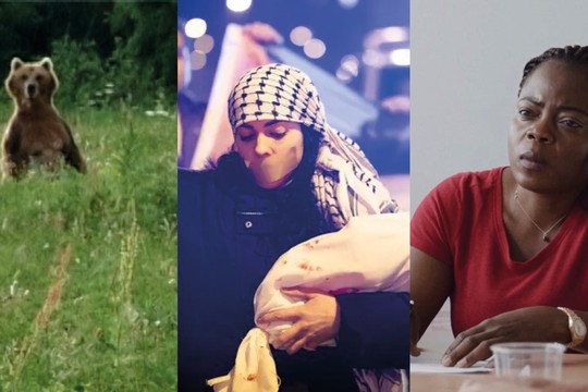 Bild von SRG-Programmtipps der Woche: Krimis und Bären