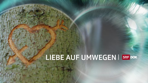 Bild von «Liebe auf Umwegen»: Beim zweiten Anlauf klappt's