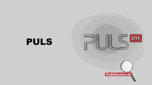 Bild von Im Fokus des Publikumsrats: «Puls»