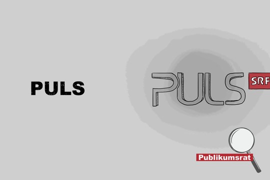 Bild von Im Fokus des Publikumsrats: «Puls»