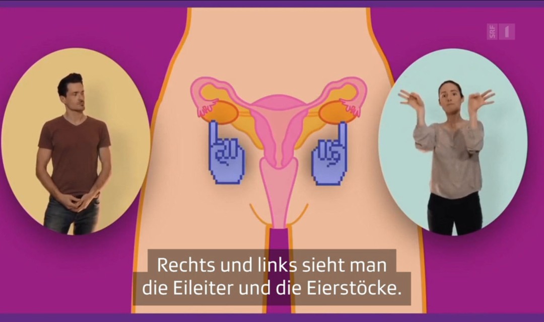 Die Macher von Dans ton slip zeigen wie ein Kondom angezogen wird