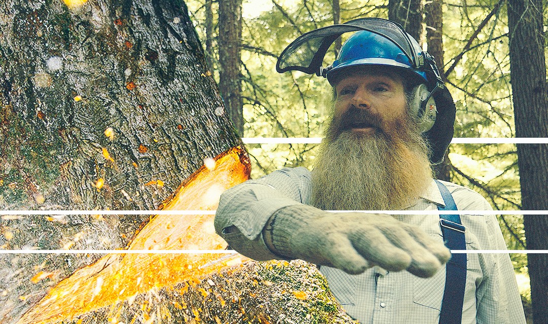 Bild von «Nachgefragt»: Wie kam die Webserie «Hermann holzt» zustande?