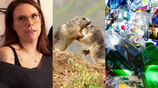 Bild von Die SRG-Programmtipps der Woche