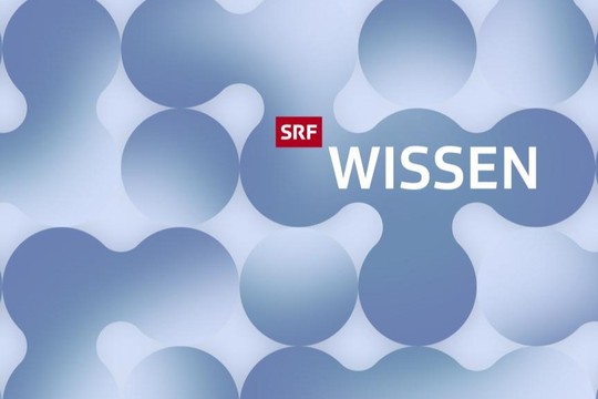 Bild von 31 neue SRF-Erklärvideos zur freien Nutzung