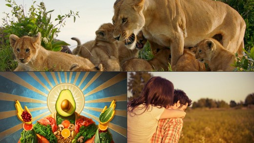 Bild von SRG-Programmtipps: Natur und Normen
