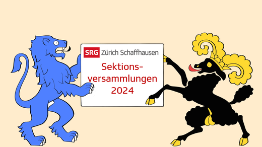 Bild von Sektionsversammlungen 2024