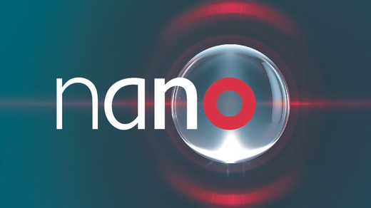 Bild von Alpiner Schutzwaldpreis Helvetia für «nano»