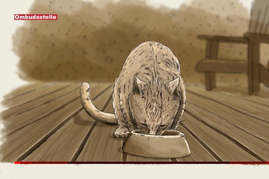 Bild von Das Fremdfüttern einer Katze führt zu einer Beanstandung