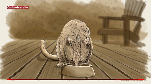 Bild von Das Fremdfüttern einer Katze führt zu einer Beanstandung