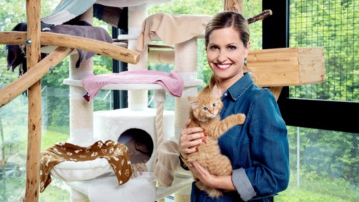 Bild von «Schweiz aktuell»-Themenwoche: Das Geschäft mit den Haustieren